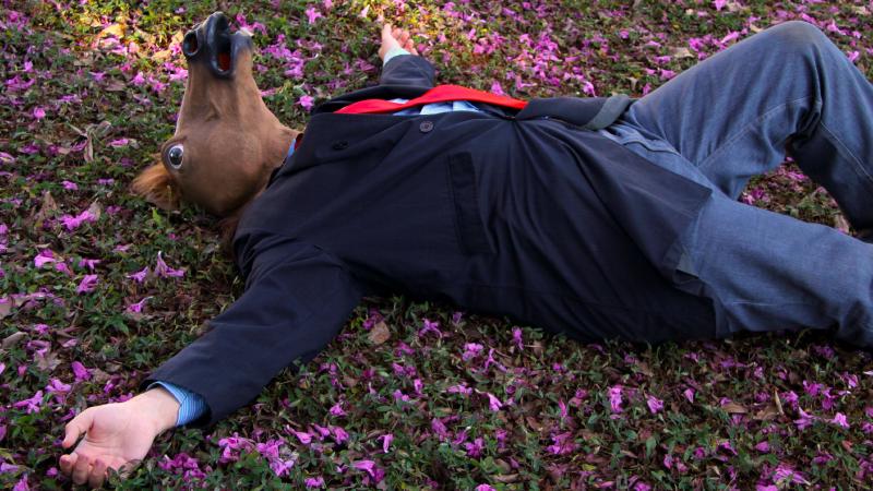 Featured image of post Sobre